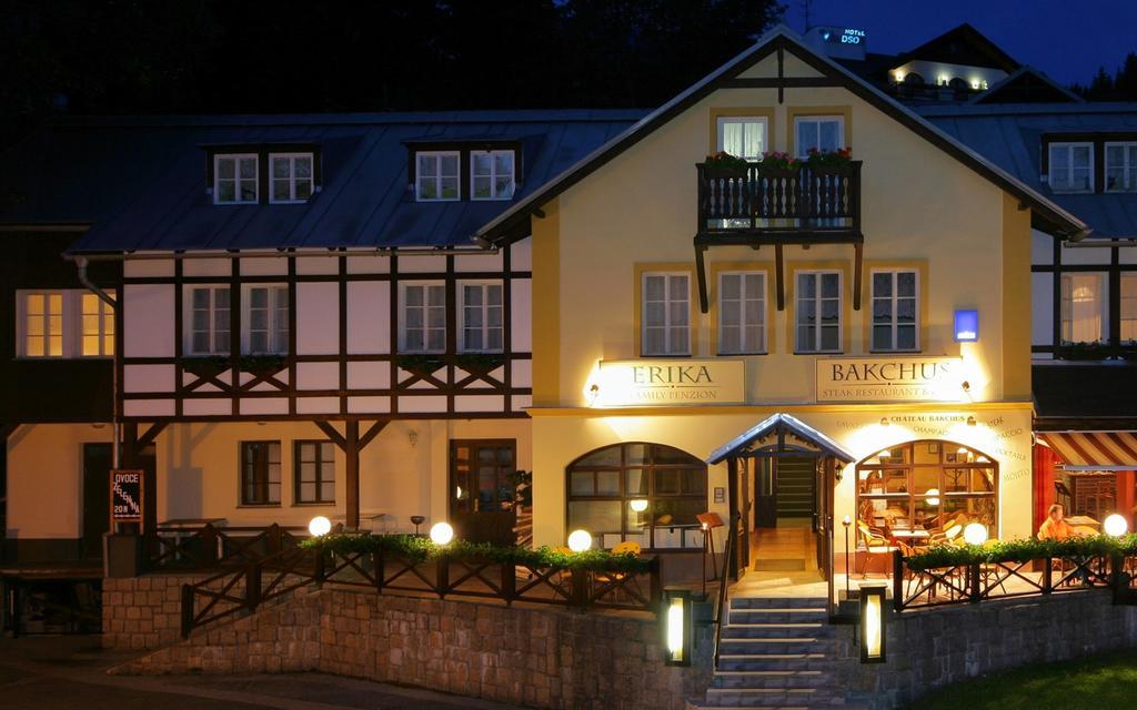 Hotel Erika Spindleruv Mlyn Exterior foto